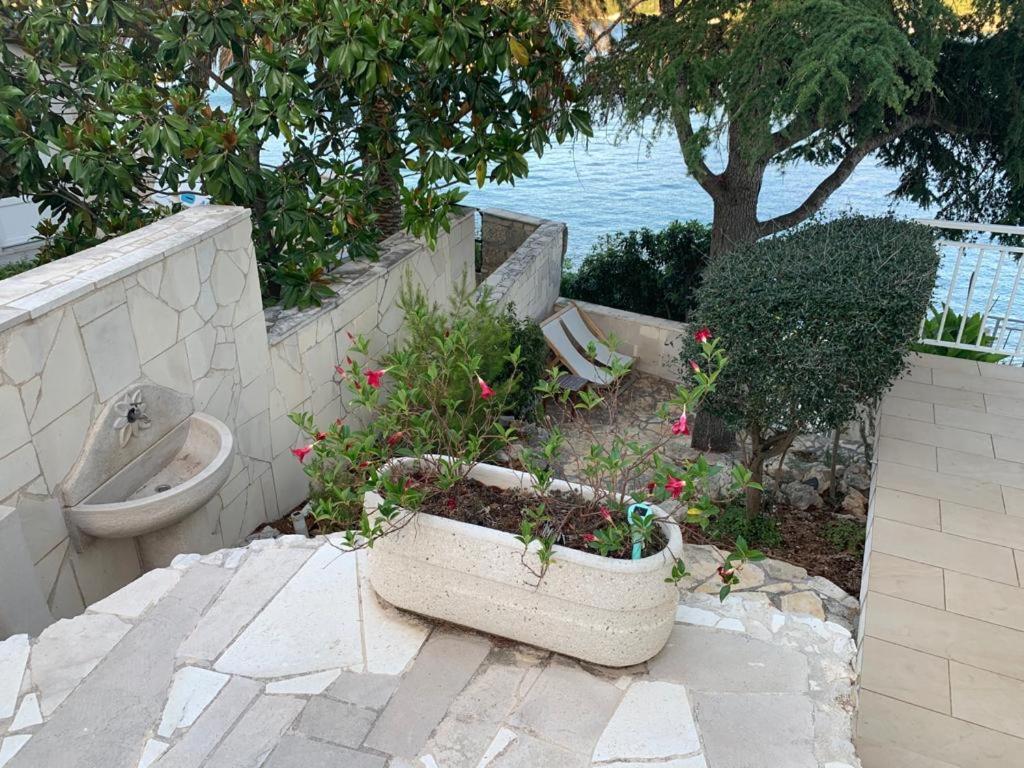 Studio Apartments More Đảo Korčula Ngoại thất bức ảnh